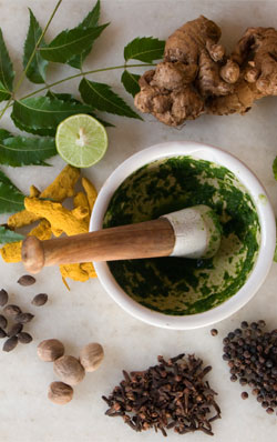Ayurveda for Diabetes Melitus